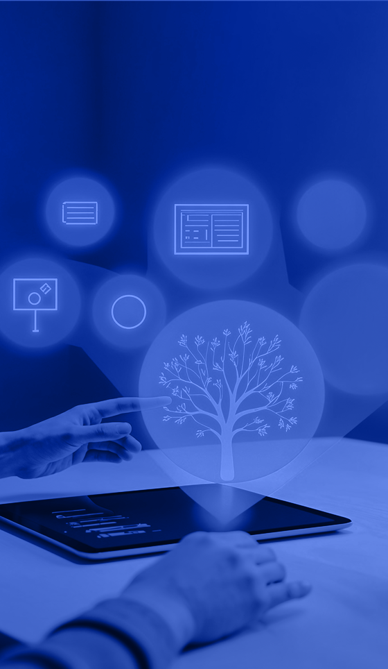 Database Migration and Validation